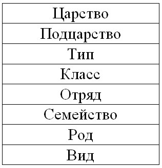 Иерархия