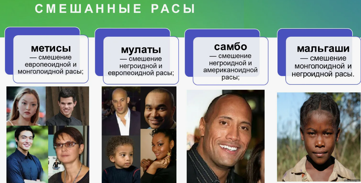 Смешанные расы